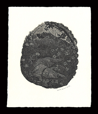 Wakuta Toshiyuki “Exlibris”