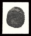 Exlibris