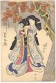 Kabuki Play: Ichiyo Raifuku Sh......