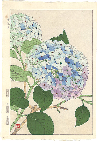 河原崎奨堂「紫陽花」