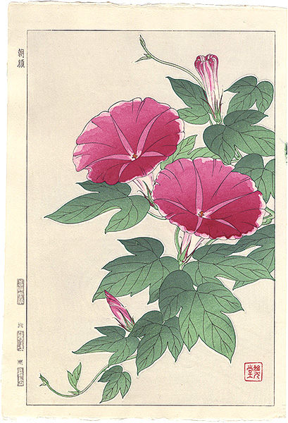 河原崎奨堂「朝顔」