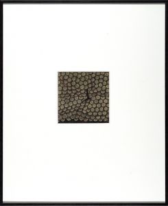 浜口陽三「緑と紫のぶどう下絵」