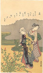 春信「 萩 【復刻版】」