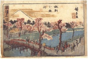 諸国名所　武州小金井
