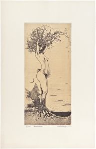 多賀新「Mandragora」