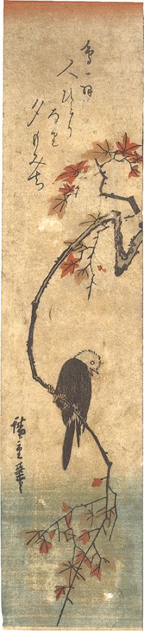 Hiroshige I “Bird and Maple (tentative title)”