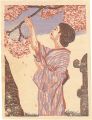 Cherry Blossoms in Bloom (Toky......