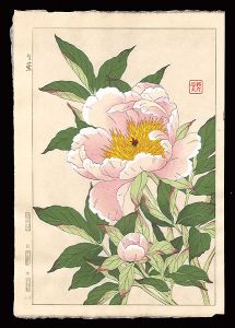 河原崎奨堂「芍薬」