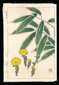 河原崎奨堂「福寿草」