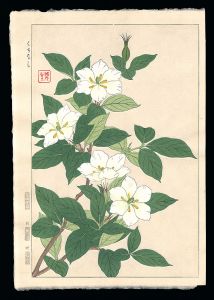 河原崎奨堂「くちなし」