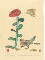 A Little Bird's Walk