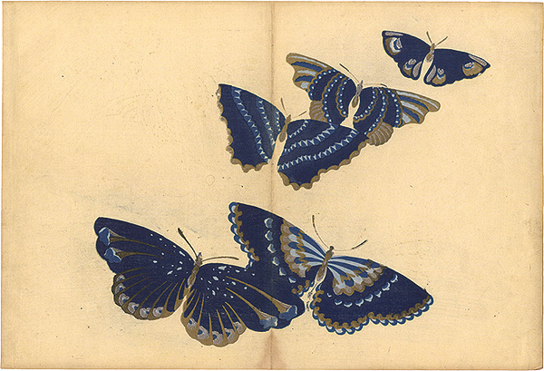 Kamisaka Sekka “A Print from a Thousand Butterflies”