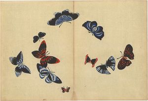 Kamisaka Sekka / A Print from a Thousand Butterflies
