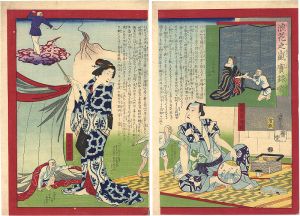 広重三代「浪花之嵐実録噺」