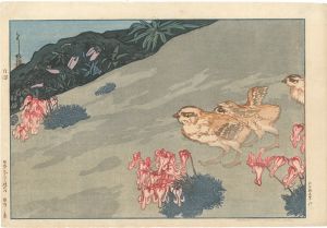 日本アルプス十二題　雷鳥とこま草