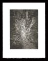 Thrasylle. Planche IX