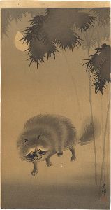 小原古邨（祥邨）「下弦月に狸」