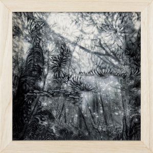 The Silent Drama-Yakushima #17