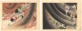 Collected Prints of the Taisho......