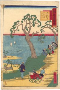The Travel Journal of the Revised Fifty-three Stations of Famous Places in Tokai / No. 36: Shirasuga