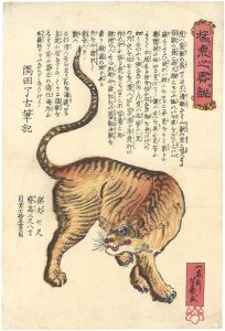 芳幾「猛虎之略説」