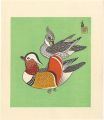 Ducks (tentative title)