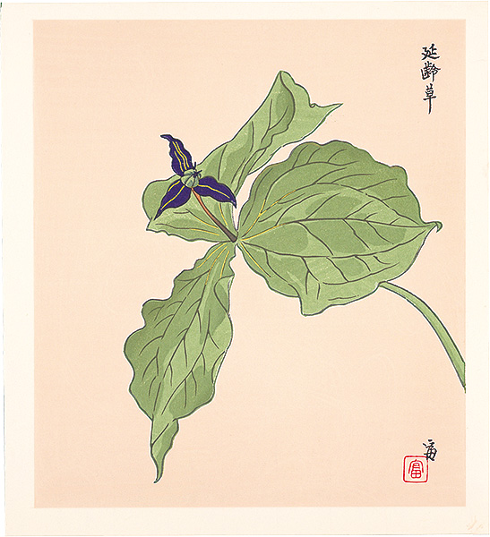 徳力富吉郎「延齢草（仮題）」