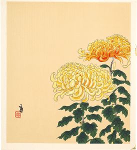 徳力富吉郎「菊（仮題）」