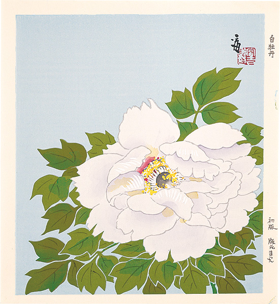 徳力富吉郎「白牡丹（仮題）」