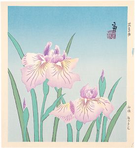徳力富吉郎「花菖蒲（仮題）」