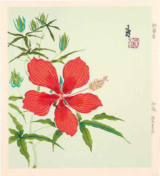 徳力富吉郎「紅蜀葵（仮題）」