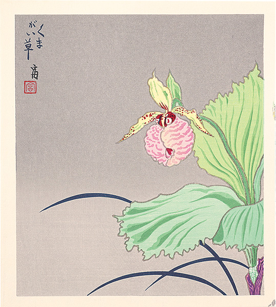 徳力富吉郎「くまがい草（仮題）」