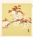 A Cherry Blossom (tentative ti......