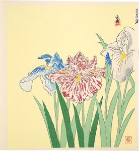 徳力富吉郎「花菖蒲（仮題）」