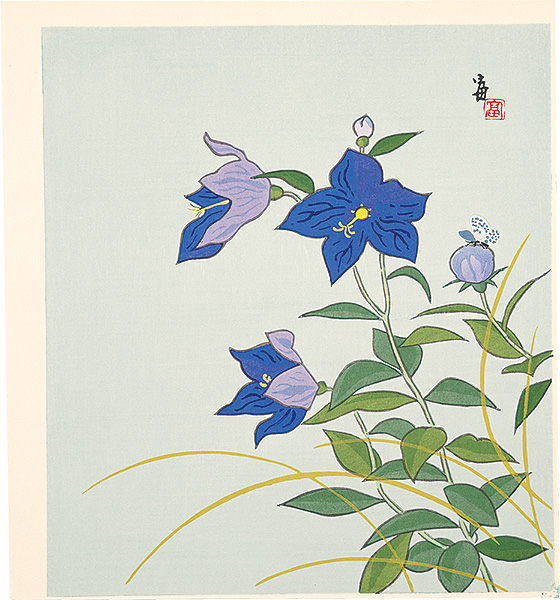 徳力富吉郎「蝶と桔梗（仮題）」