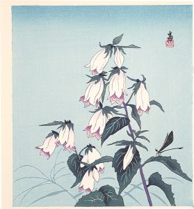 徳力富吉郎「竜胆（仮題）」