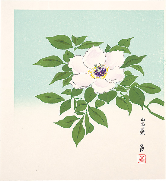 徳力富吉郎「山芍薬」