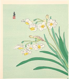 徳力富吉郎「水仙（仮題）」
