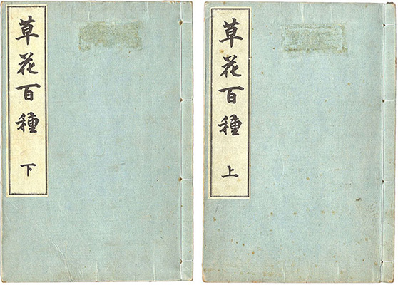 楳嶺「草花百種」