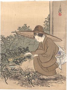 尾形月耕「木版口絵」