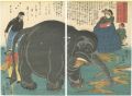 Great Elephant Recently Import......