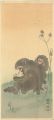 Monkeys and Horsetails