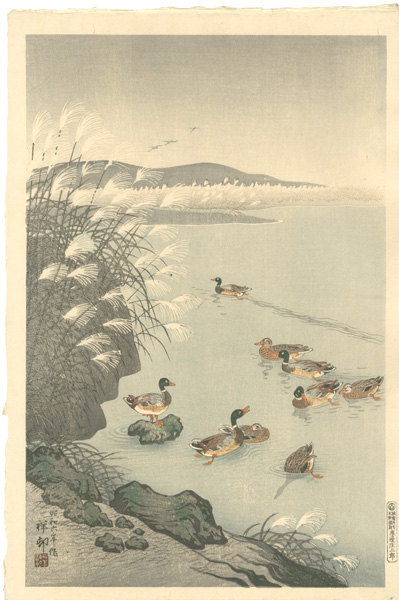 小原古邨（祥邨）「晩秋の池」