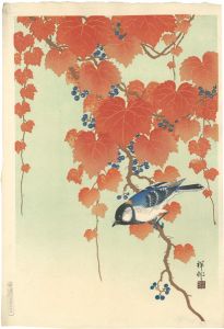 小原古邨（祥邨）「蔦に頰白」
