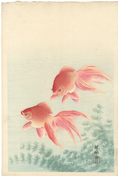 小原古邨（祥邨）「金魚」