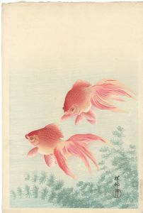 小原古邨（祥邨）「金魚」