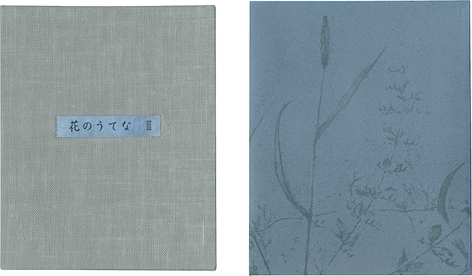 “Twelve Flowers III” Shimizu Yoko