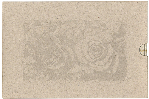 “SKETCH BOOK OF ROSE” Shimizu Yoko
