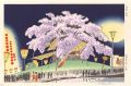 Cherry Blossoms at Night, Gion