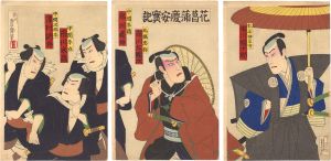 花菖蒲慶安実記